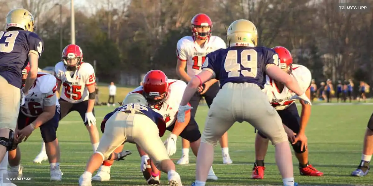 行业领先的理由